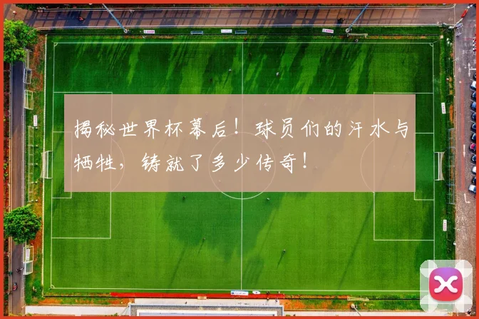 揭秘世界杯幕后！球员们的汗水与牺牲，铸就了多少传奇！